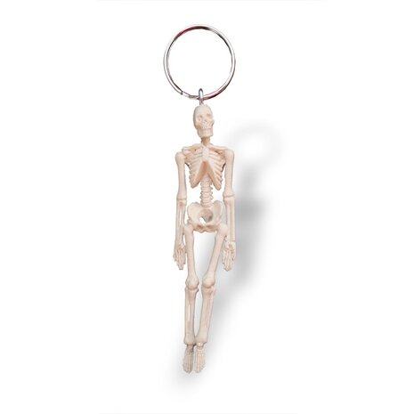 Anatomie model sleutelhanger skelet (9,5 cm)