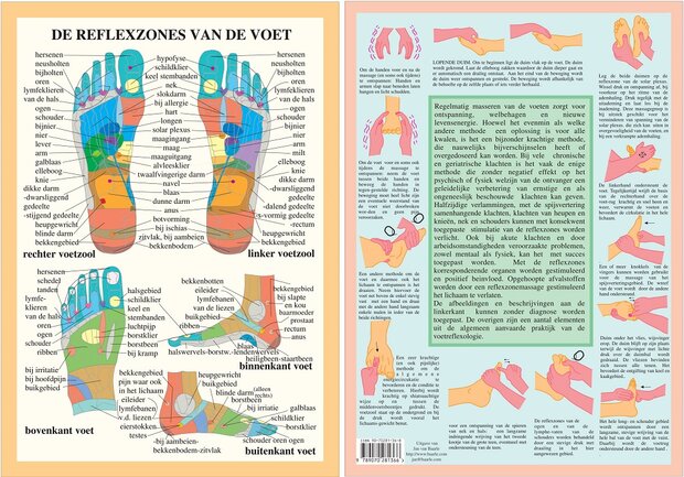 Anatomie poster voetreflexologie (Nederlands, gelamineerd, A4)