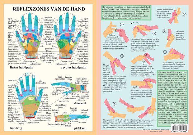 Anatomie poster handreflexologie (Nederlands, gelamineerd, A4)