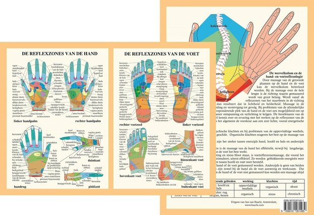 Anatomie poster hand- en voetreflexologie (Nederlands, gelamineerd, A4)