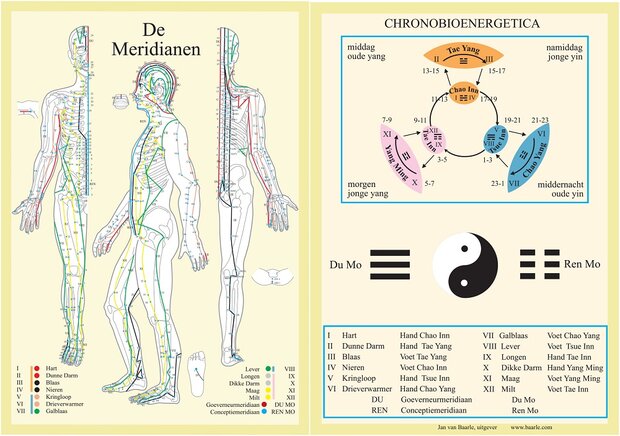 Anatomie poster meridianen (Nederlands, gelamineerd, A4)