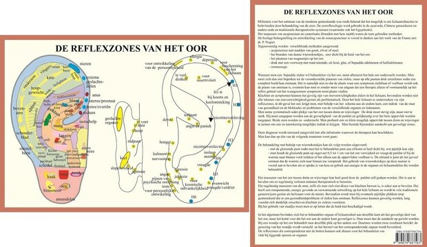 Anatomie poster oorreflexzones (Nederlands, gelamineerd, A4)