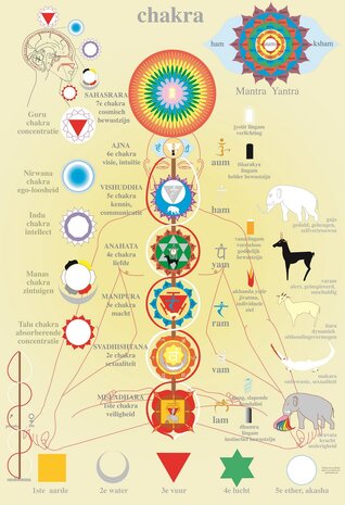 Anatomie poster chakra&#039;s (Nederlands, gelamineerd, A2) + ophangsysteem